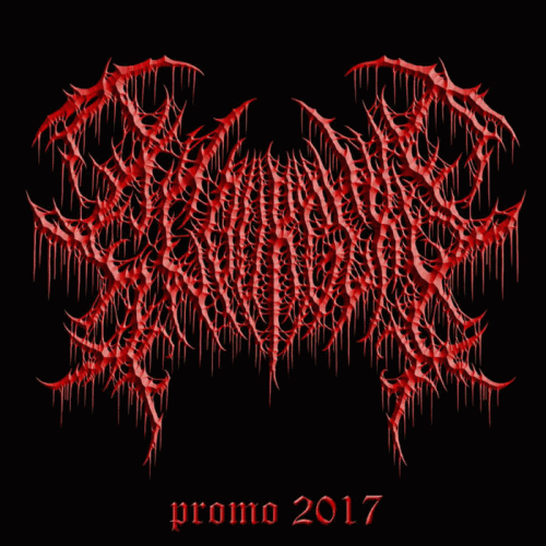 Scourgery : Promo 2017